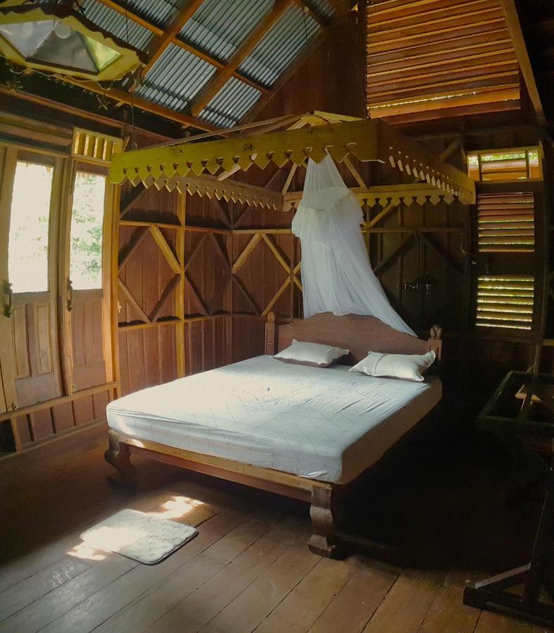 Happy Ria Homestay & Guesthouse Bukit Lawang Exterior foto