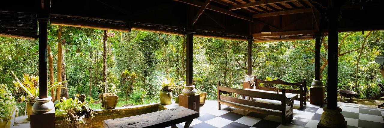 Happy Ria Homestay & Guesthouse Bukit Lawang Exterior foto