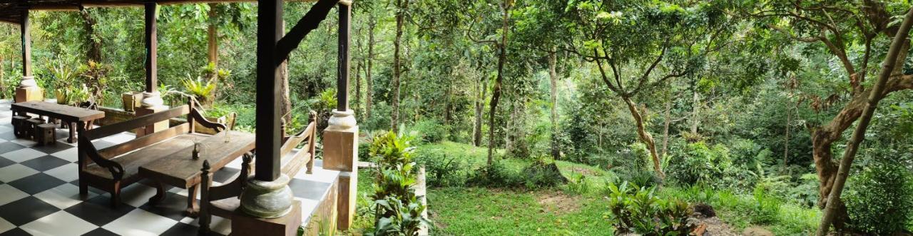 Happy Ria Homestay & Guesthouse Bukit Lawang Exterior foto