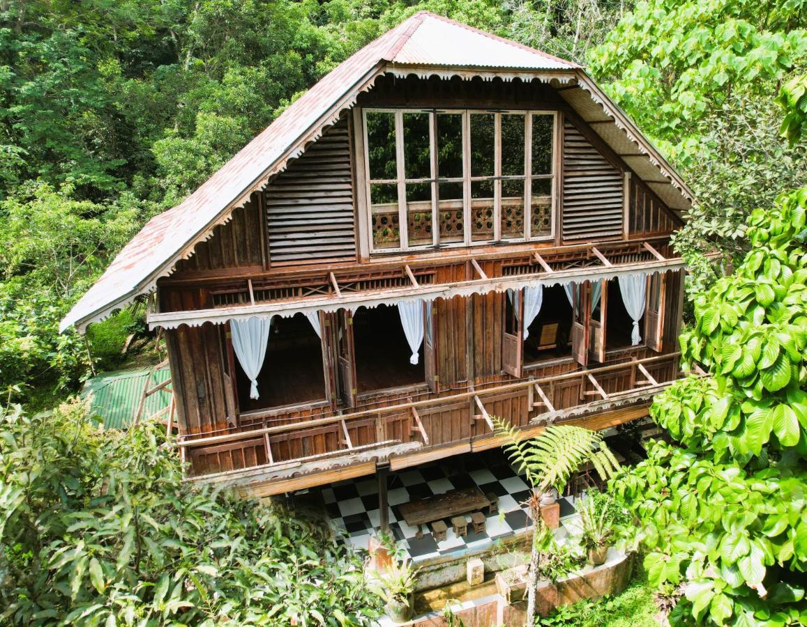 Happy Ria Homestay & Guesthouse Bukit Lawang Exterior foto